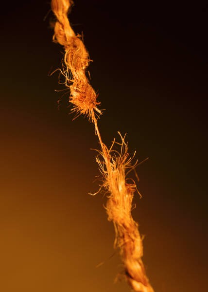 Fraying Twine about to break.jpg