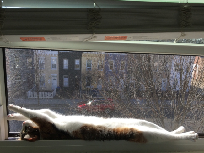 Some people have more time to stretch than others.