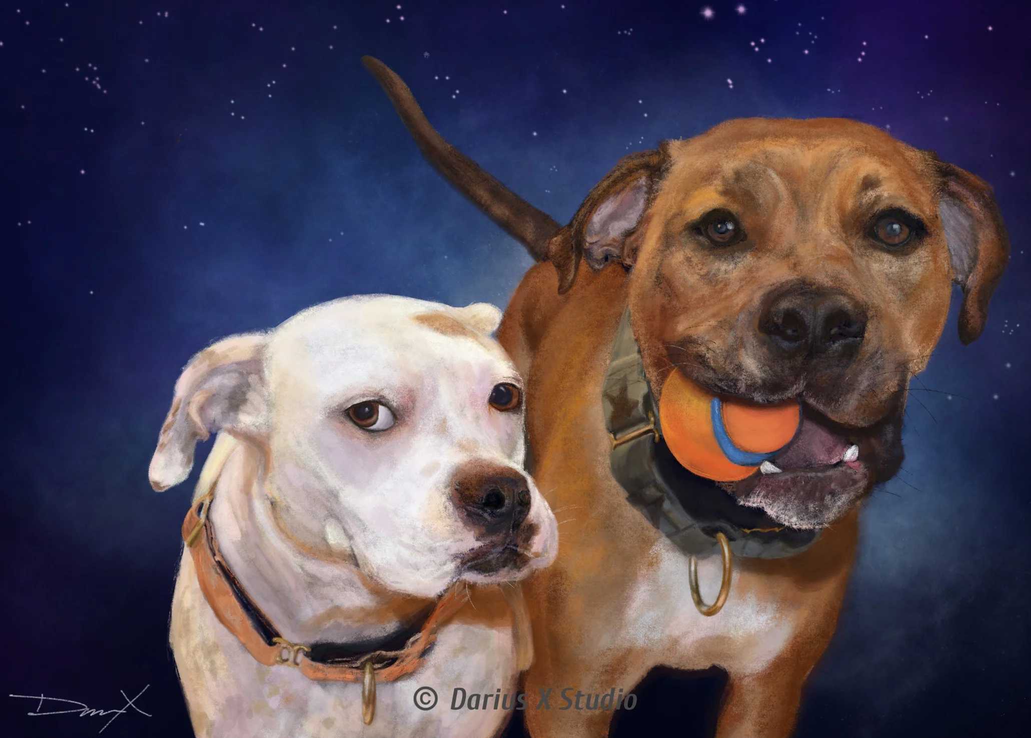 Frank &amp; Ollie (RIP)