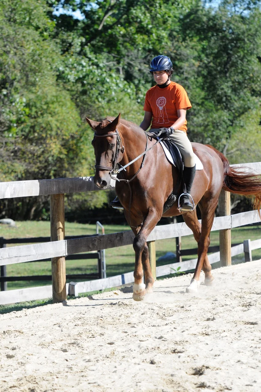 Endeavor Horse Show 2016-43.jpeg