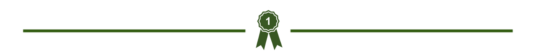 ribbon lines.png