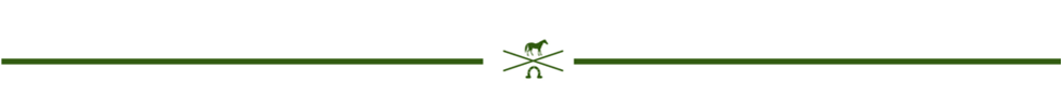 Horse X Horseshoe lines.gif