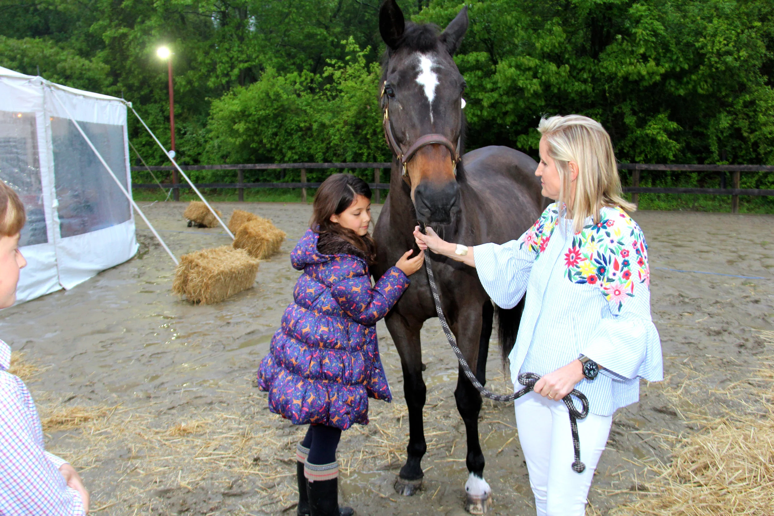 Horse Party 00083.jpg