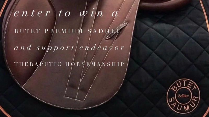 raffle-saddle-sm.jpg