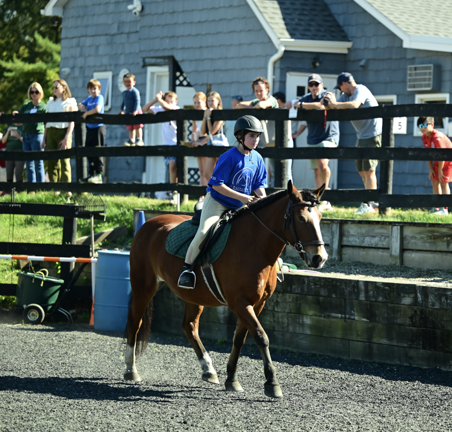 Endeavor Participant Horse Show