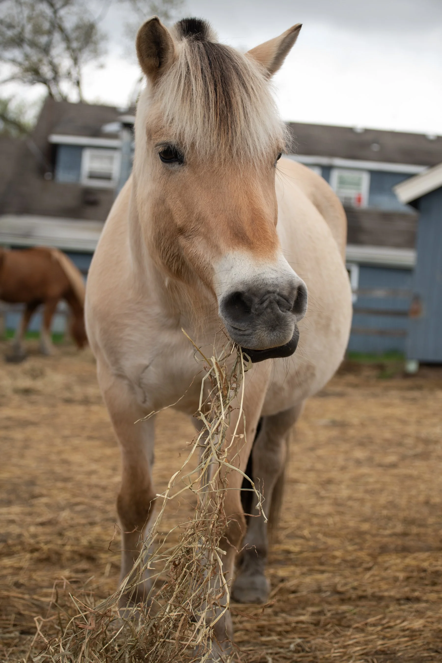 Endeavor_Spring_2023-119 (1).jpg