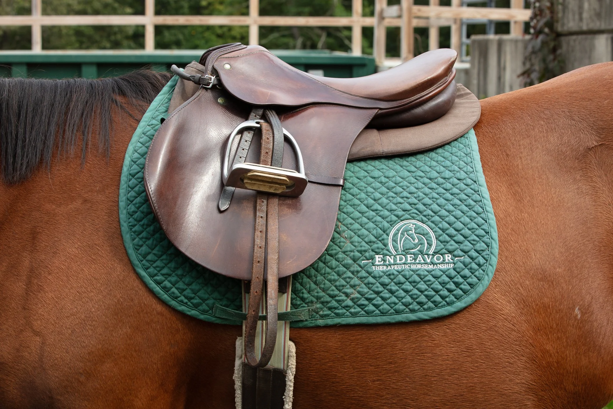 Endeavor_Candids_Lessons-4 (3).jpg