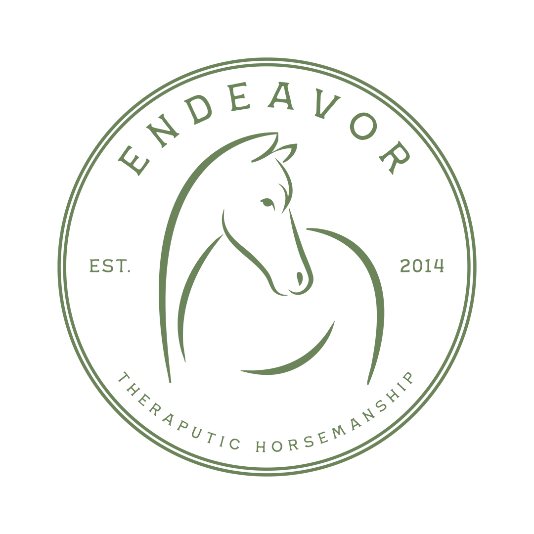 One Time Volunteer Fee