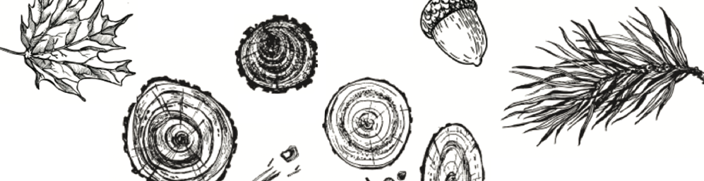 Screen Shot 2020-03-04 at 1.42.45 PM.png