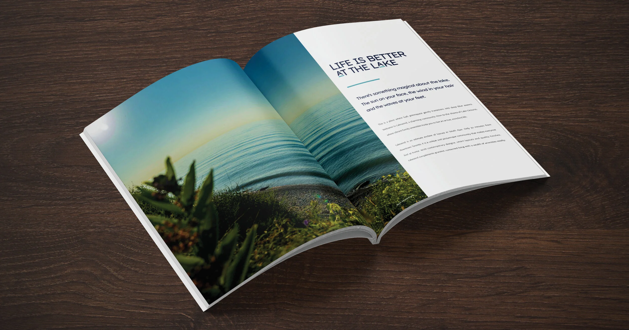 40013 MCO COR Social Project Launches52.jpg