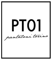 pt-01-logo.jpg