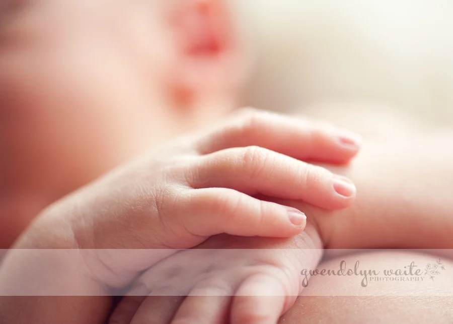 saint_paul_newborn_photographer