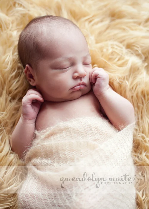 minnesota_infant_portrait_photographer
