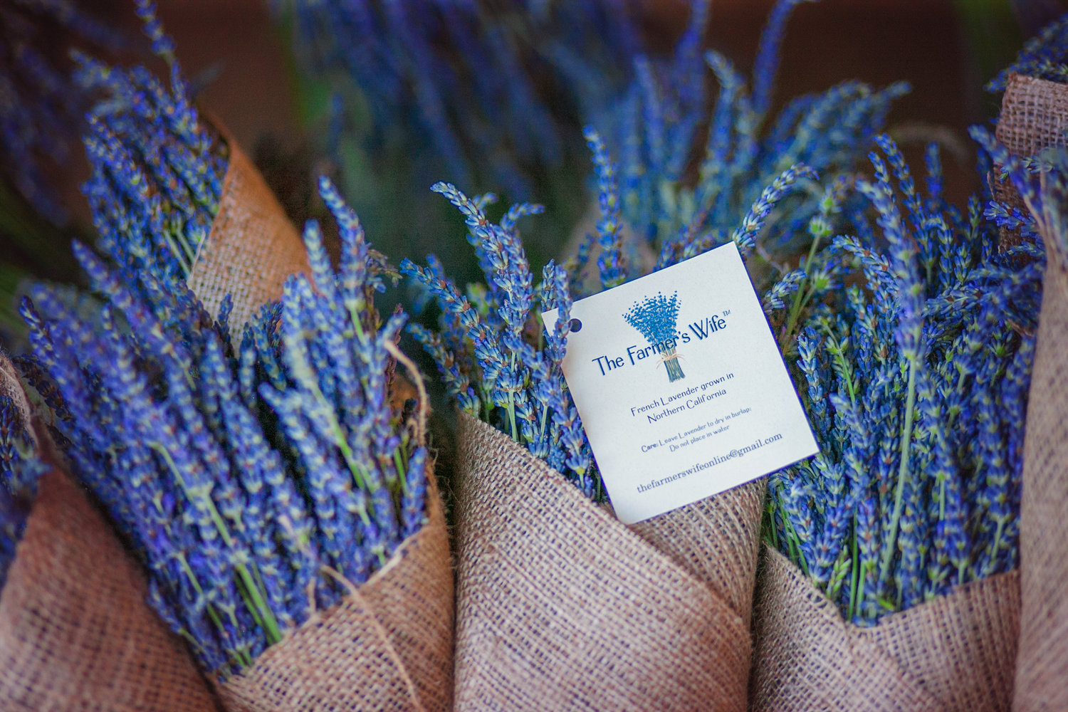 Dried Lavender Bundle — PepperHarrowBoutique Iowa Flower Farm