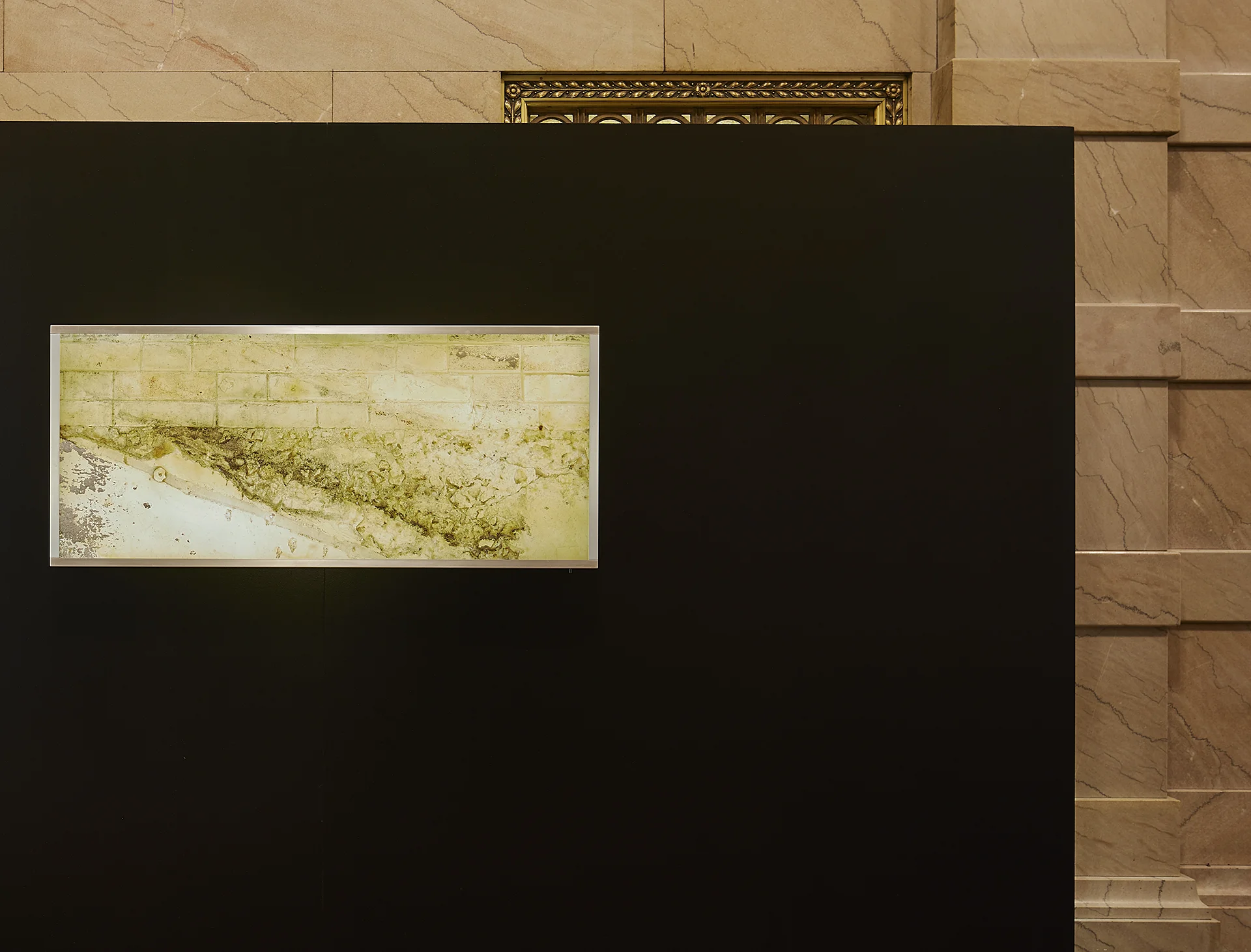 Chicago Architecture Biennial, 2017-2018