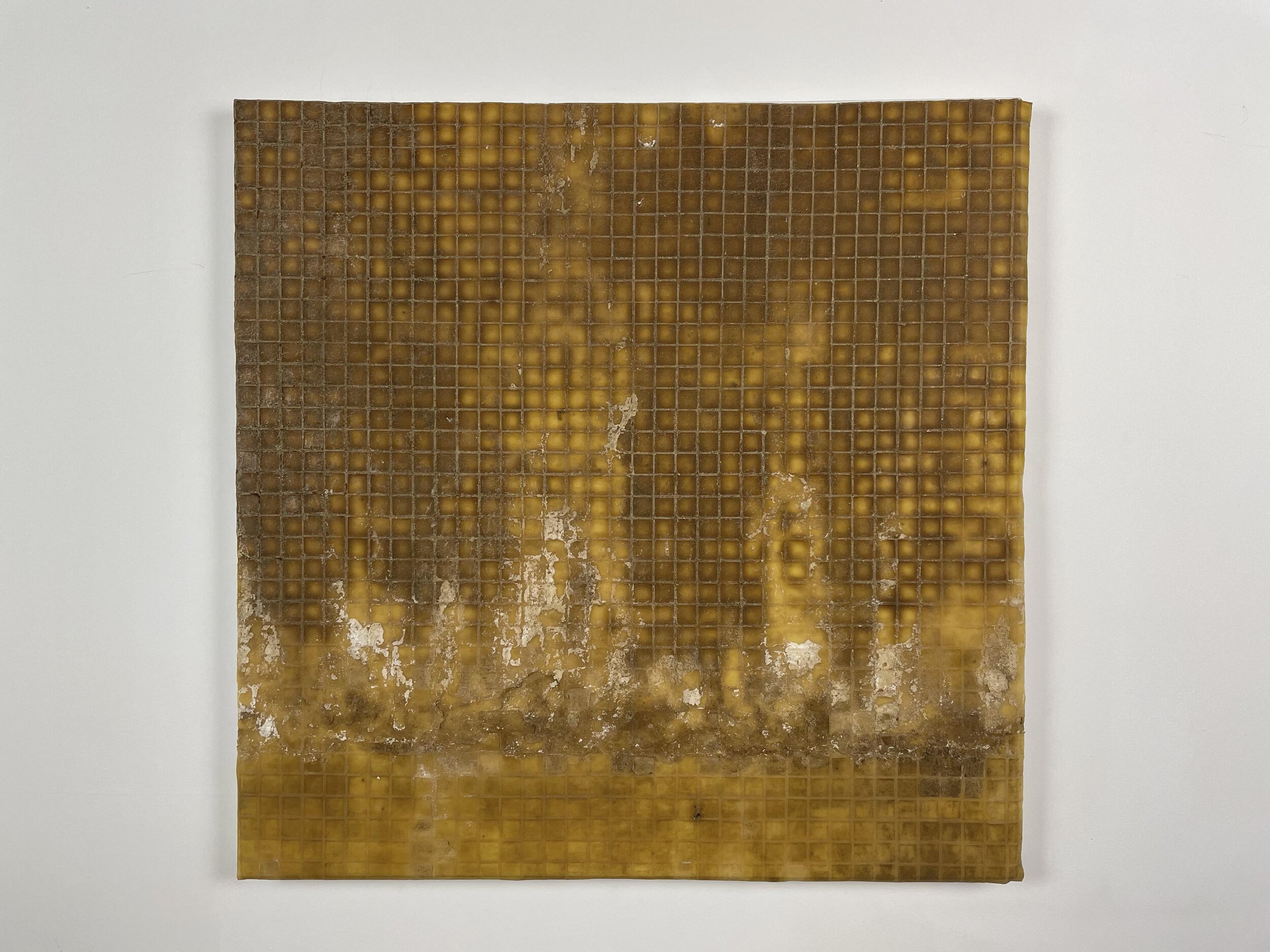 Otero-Pailos,Jorge-DistributedMonument46_Lyndhurst-2020-LatexCast-_29x29inches.jpg