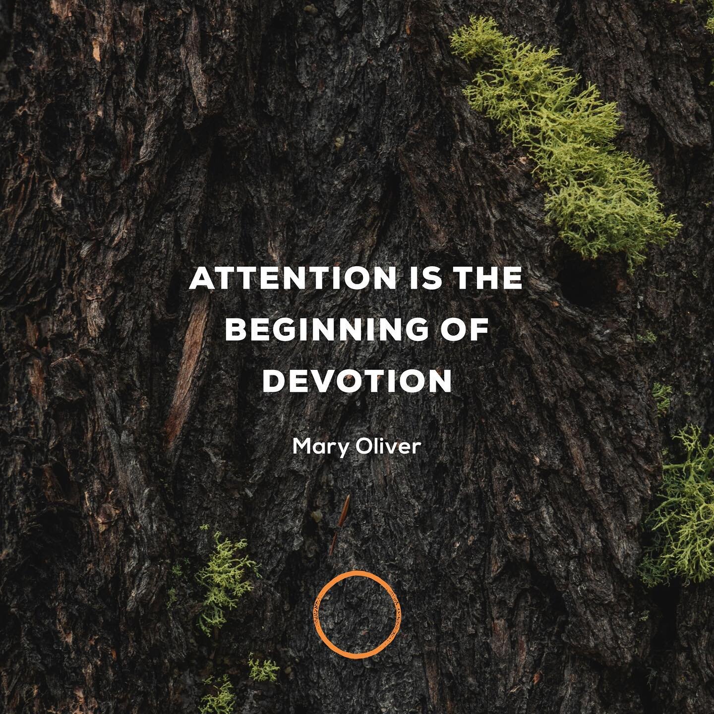 What will you give your attention to today?
Who will receive the devotion of your energy?
What will be created inside that exchange, the offering up of your most valuable resource?
What is it you call sacred? What gods do you serve?