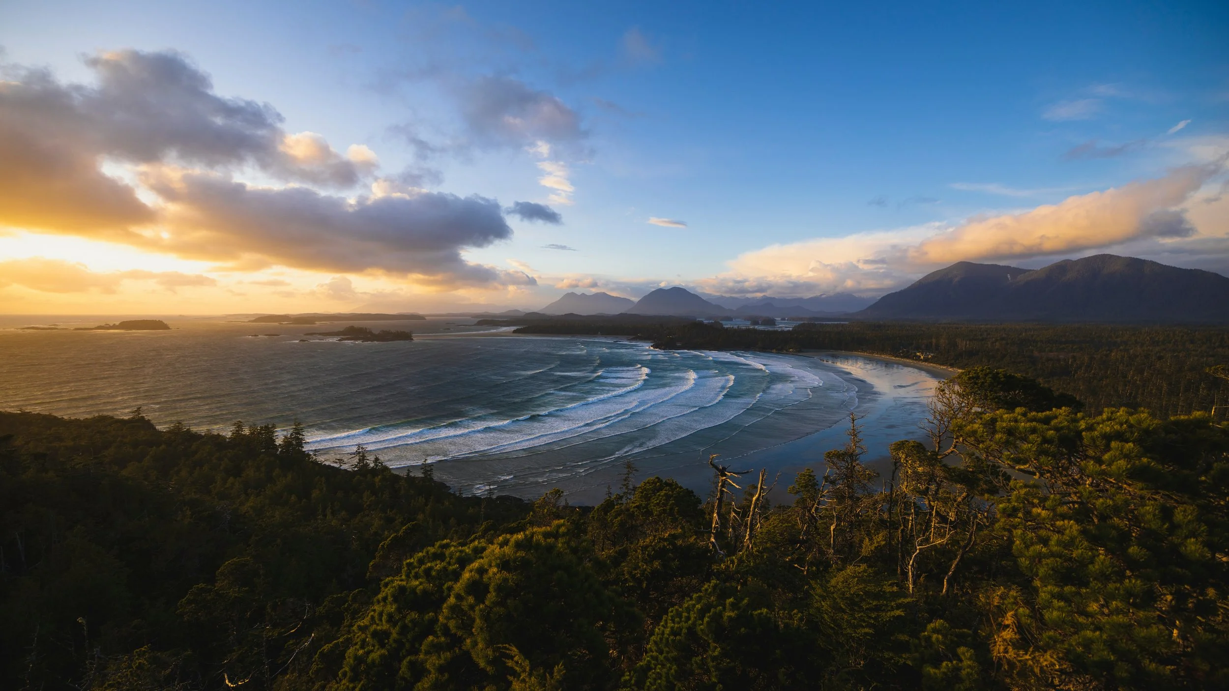 Nov 8 - 13, 2026: The Nature of Creative Wilderness  - Tofino, BC (CANADA)