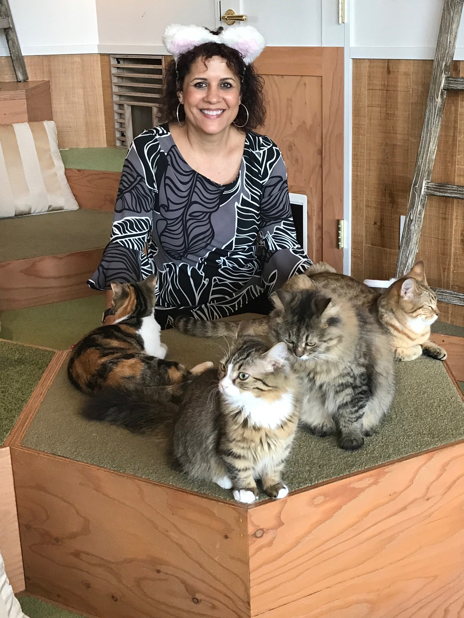 Cindy at the Cat Cafe