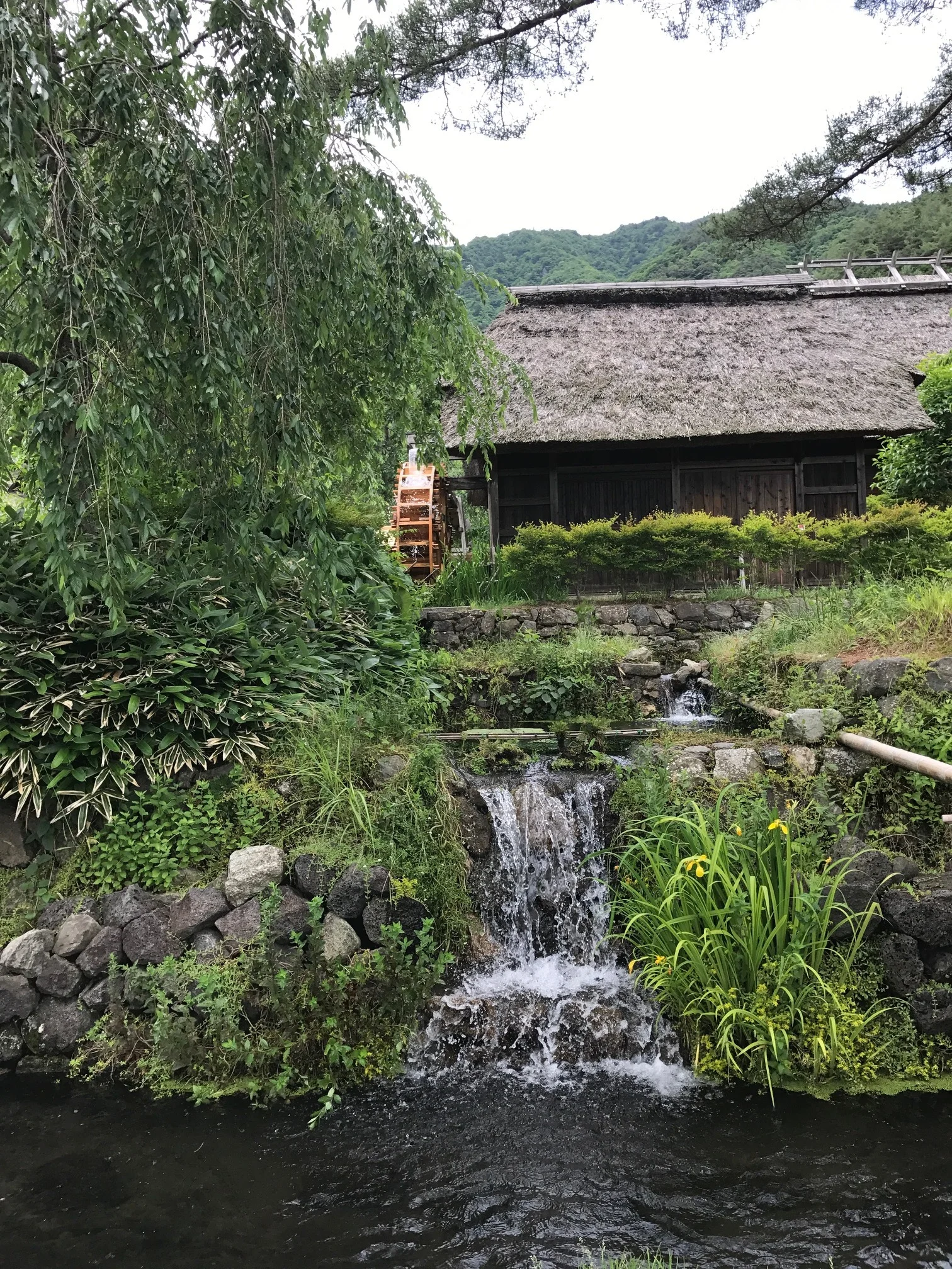 Saiko Iyashi no Sato Nenba