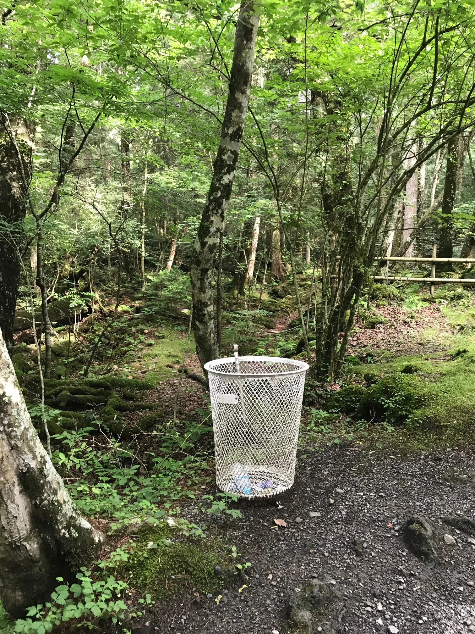 Trash can in the forest, a rare sight in Japan!