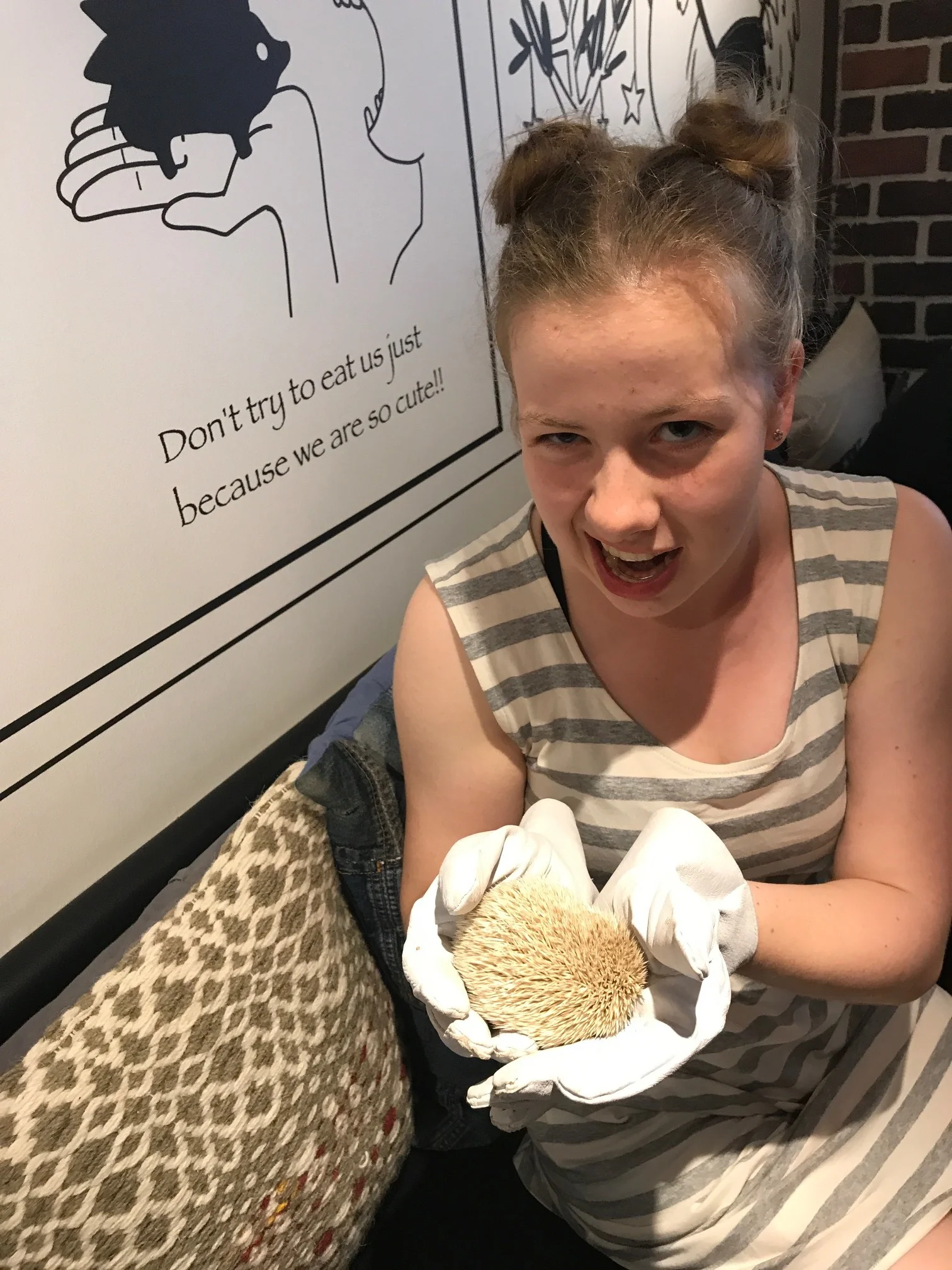 Don't eat the Hedgehogs