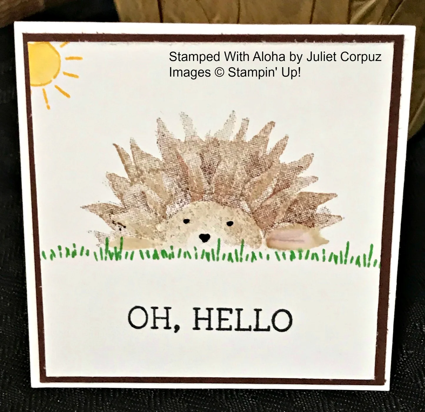 Hedgehog Card - www.stampedwithaloha.com