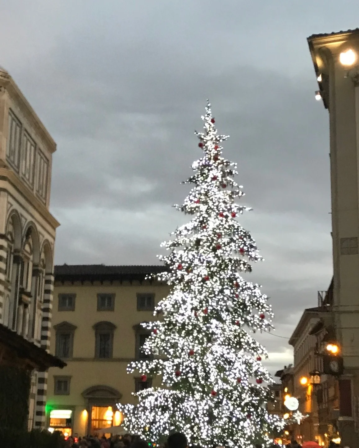 Christmas Tree in Florence, Itally