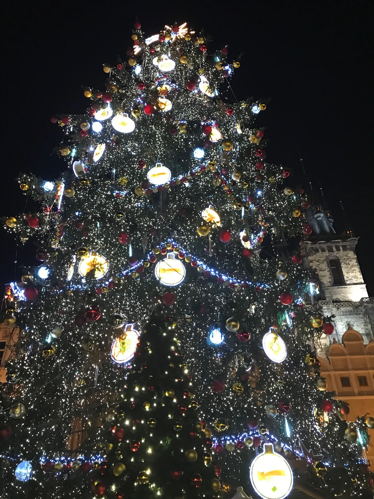 Charles Square, Prauge