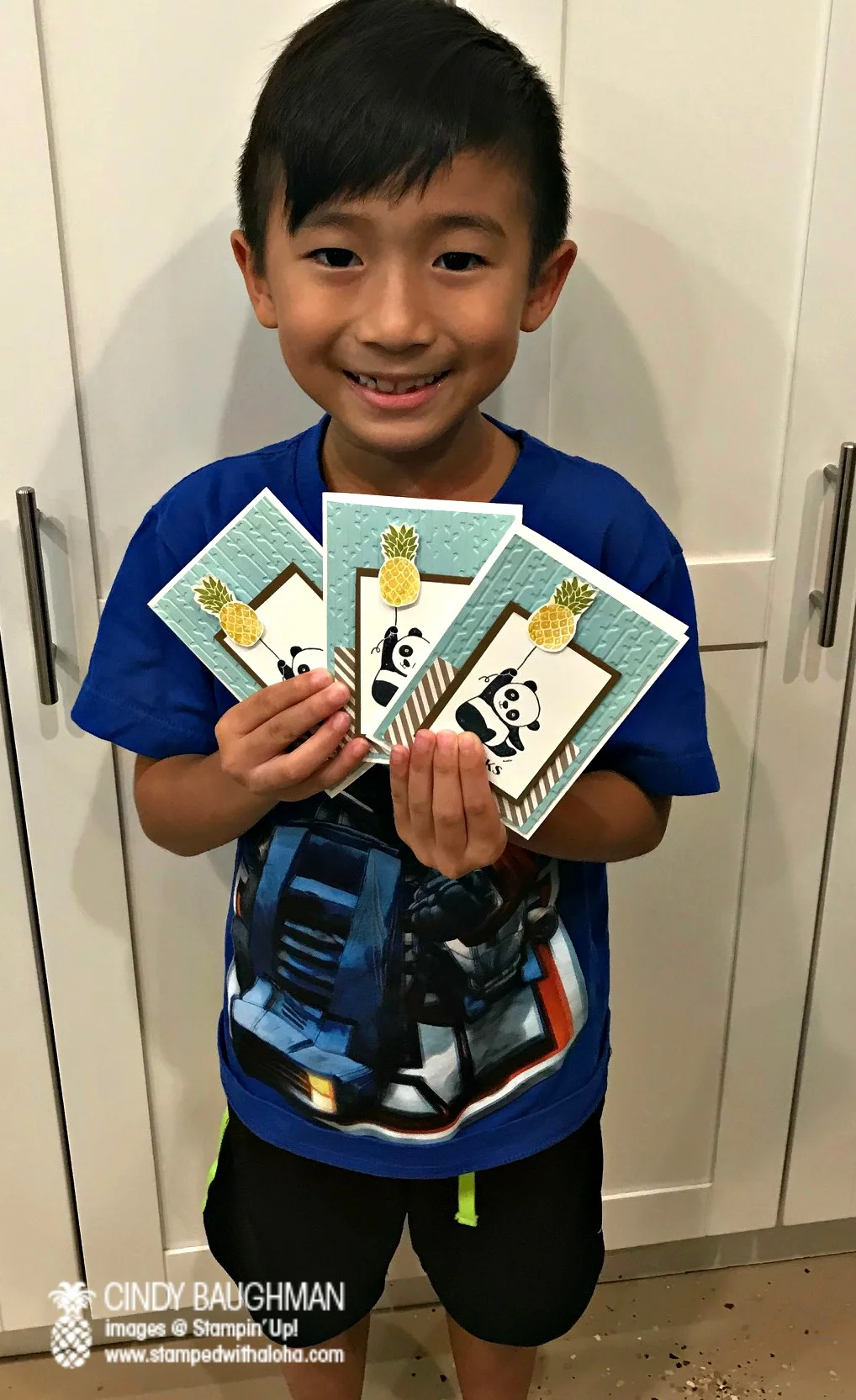 Noah and his panda cards