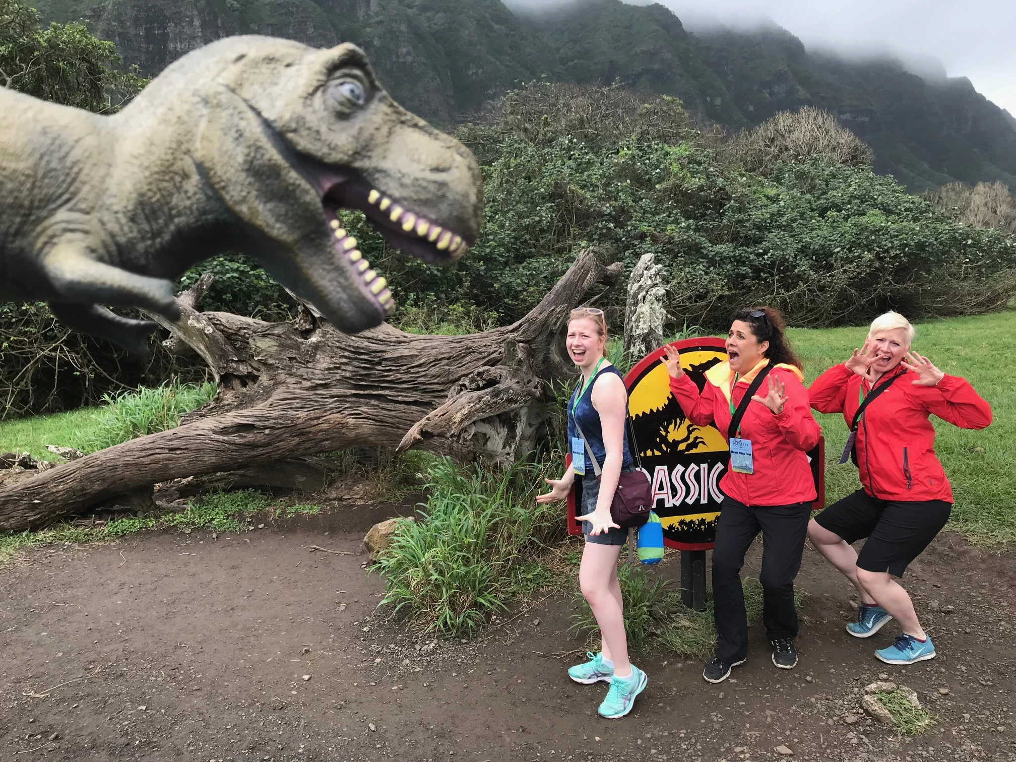 Kualoa Ranch Movie Tour