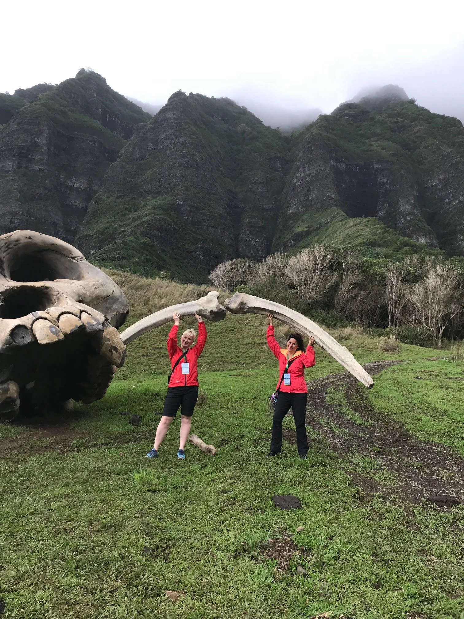 Kualoa Ranch