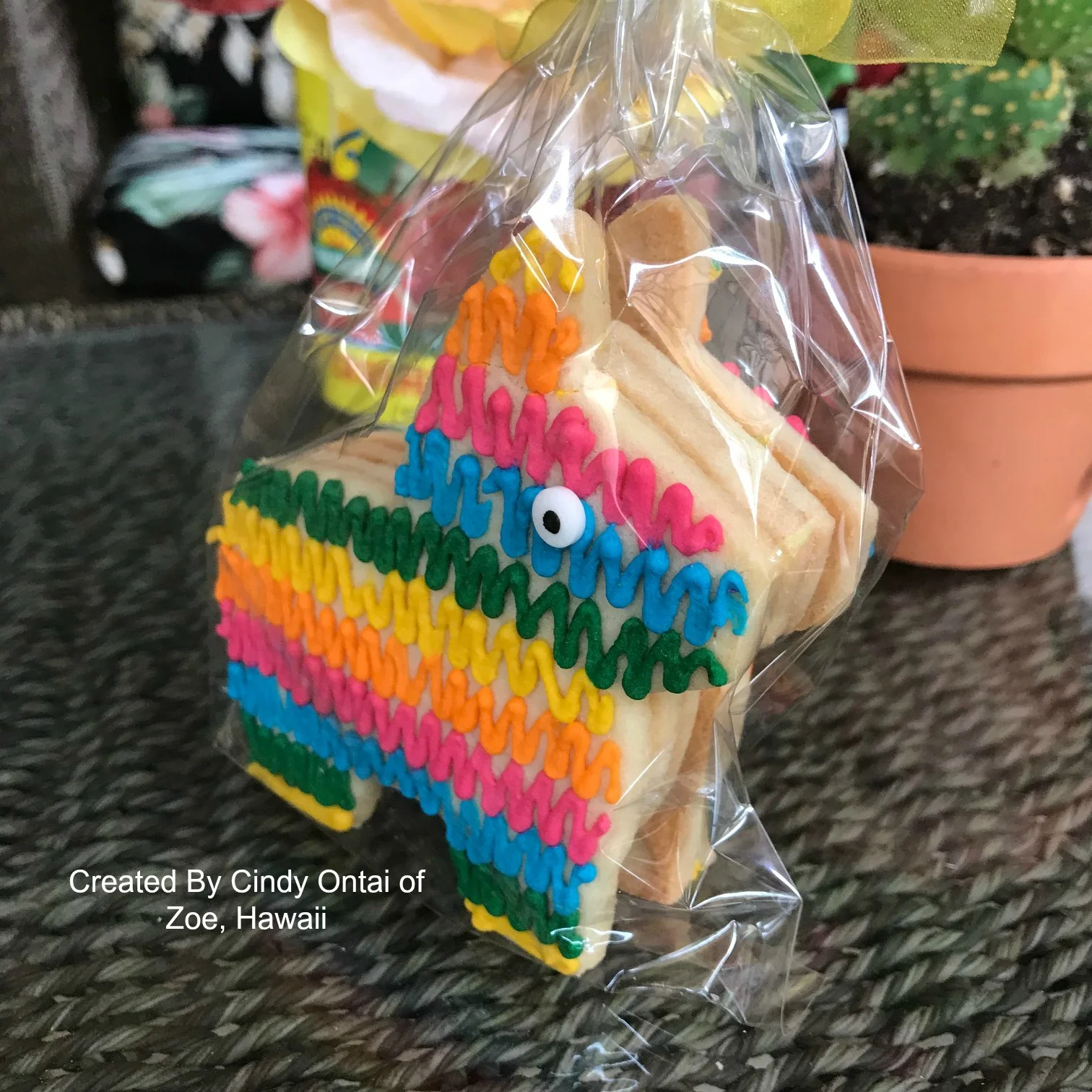 Pinion Cookies by Zoe Hawaii