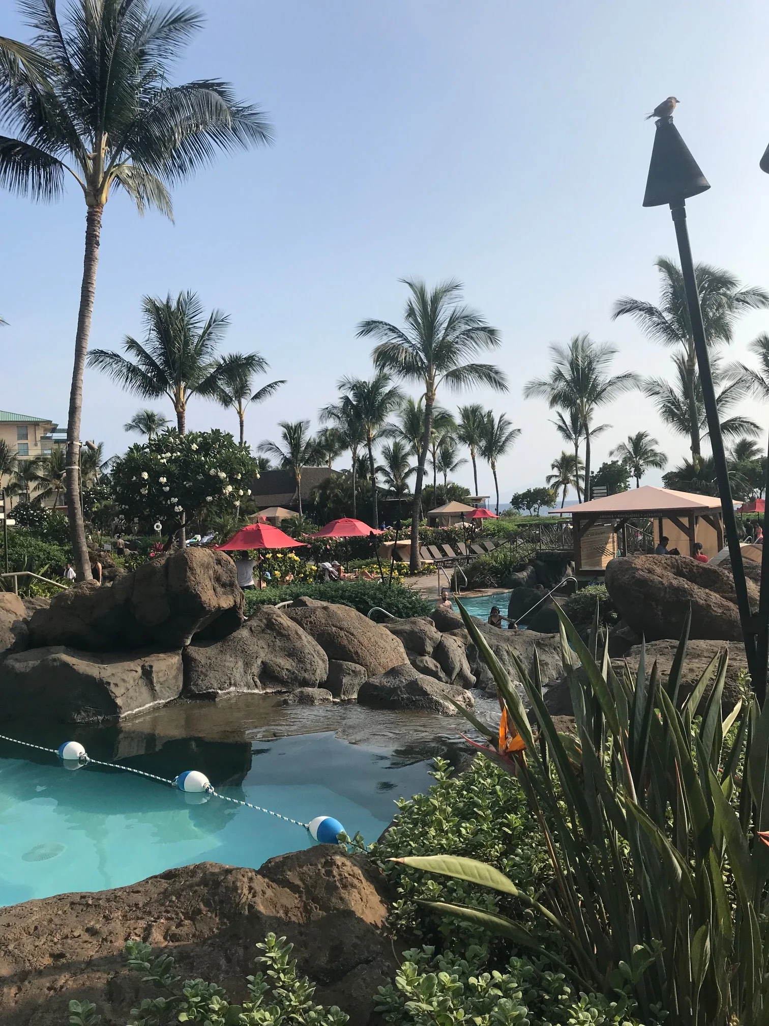 Kaanapali, Maui