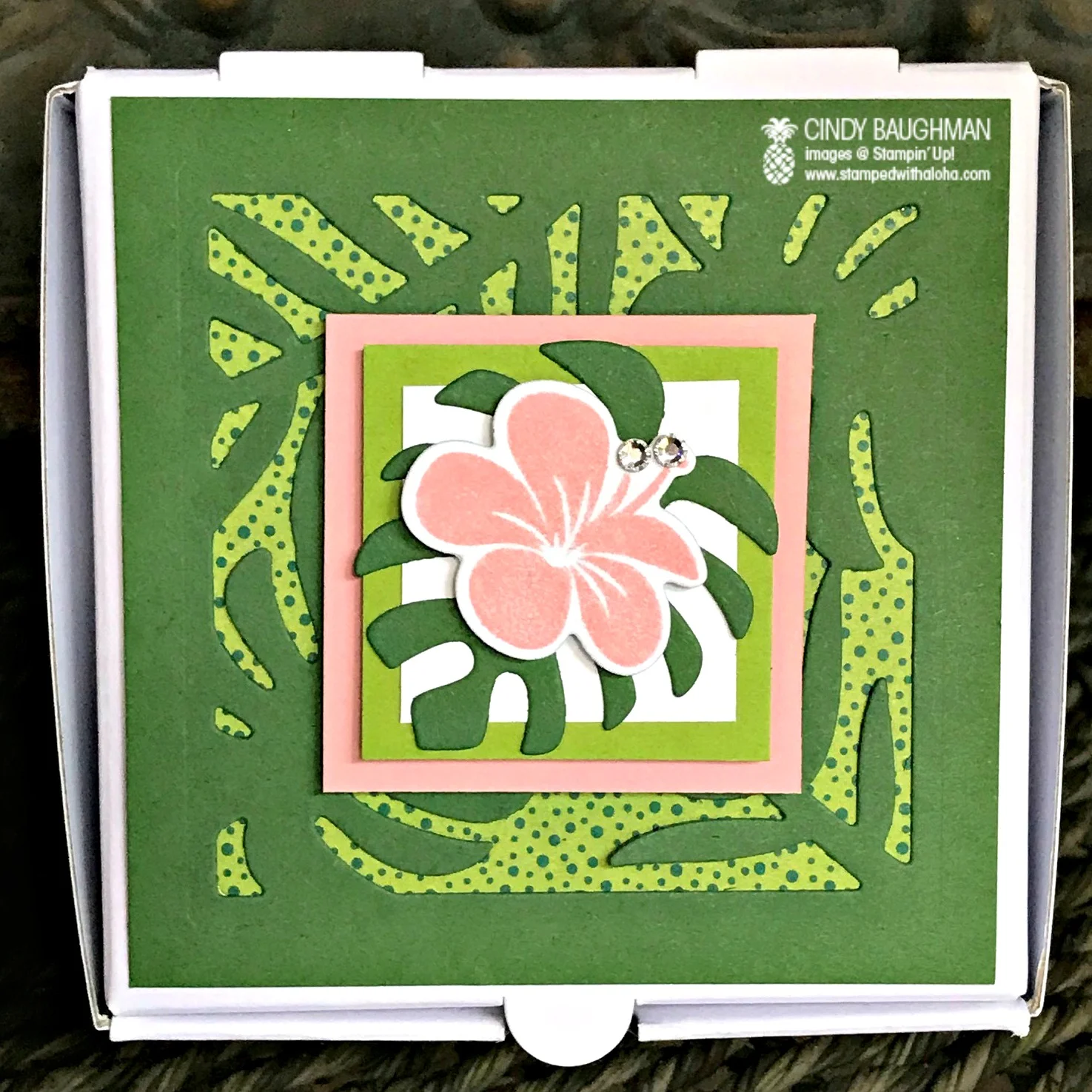 Tropical Pizza Box 