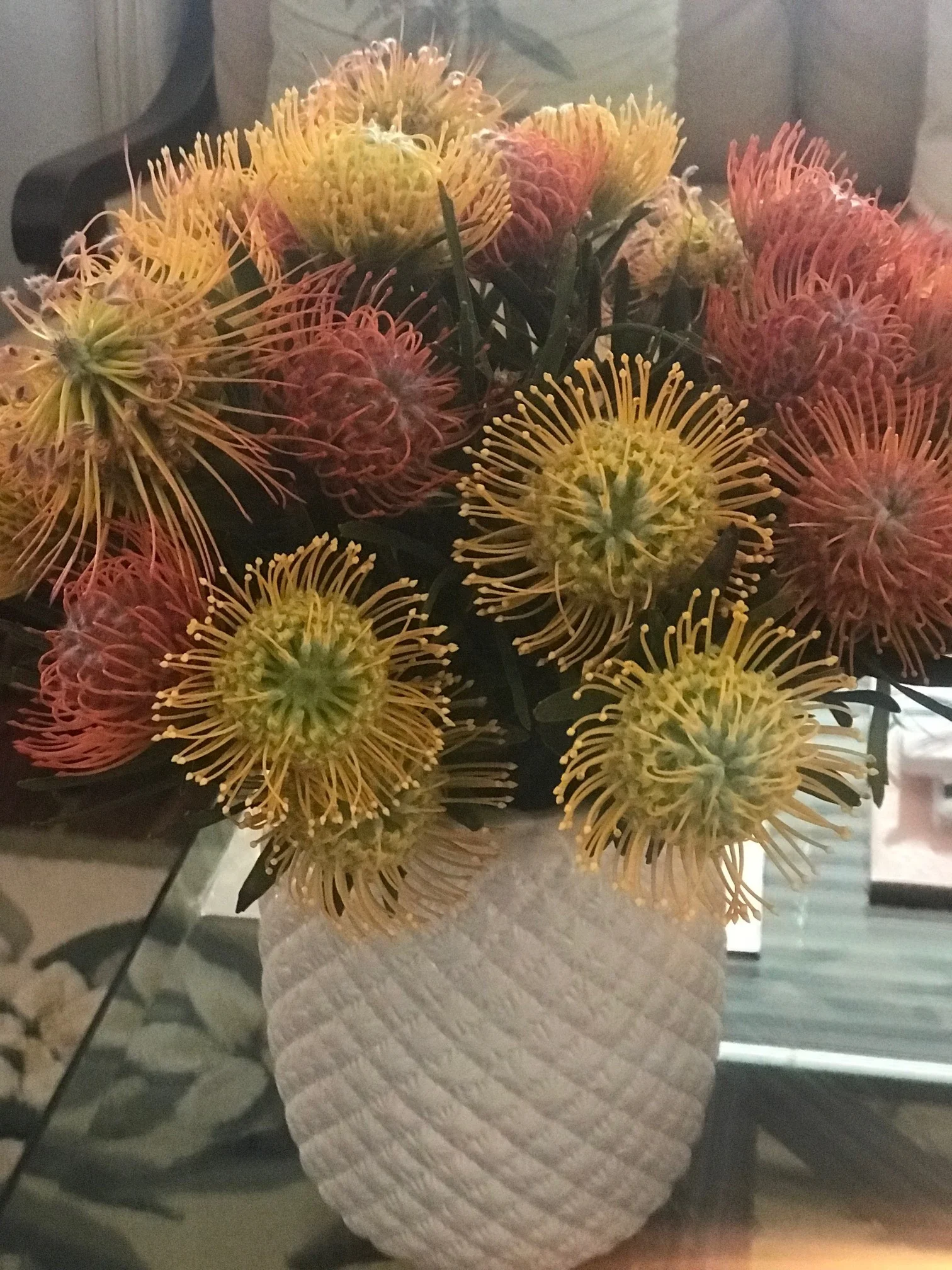 Tropical Protea Flowers