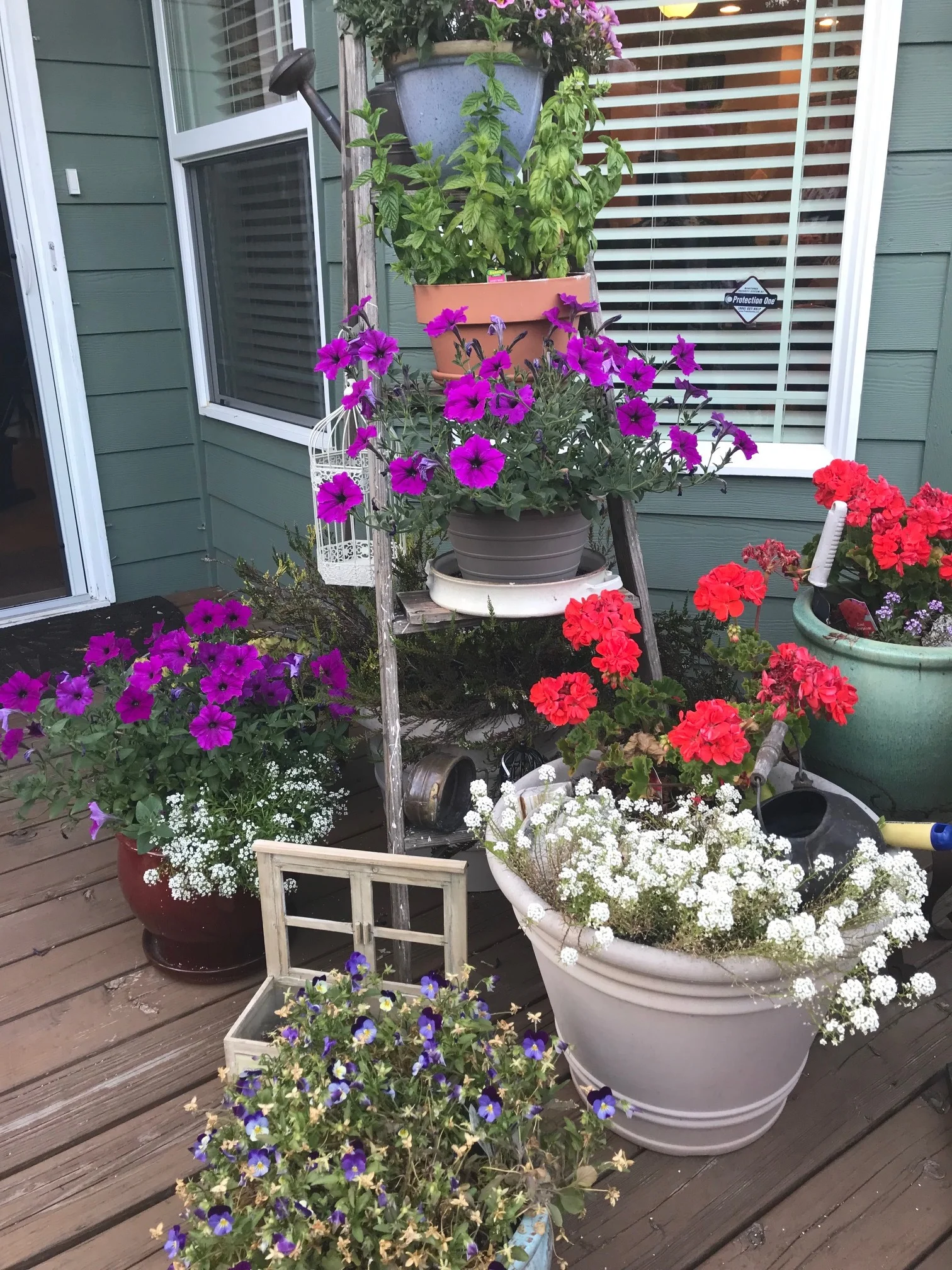 Alvena's Garden