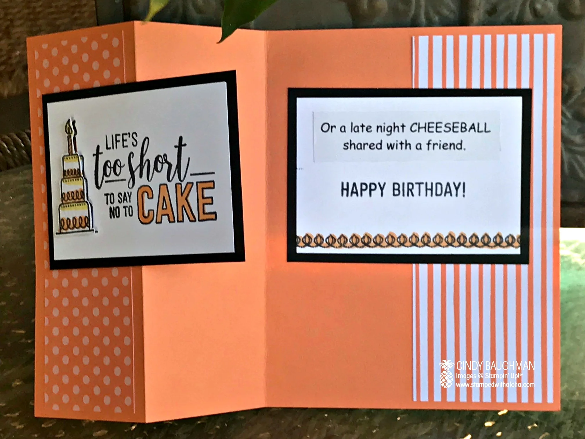 Amazing Life Birthday Card (inside)