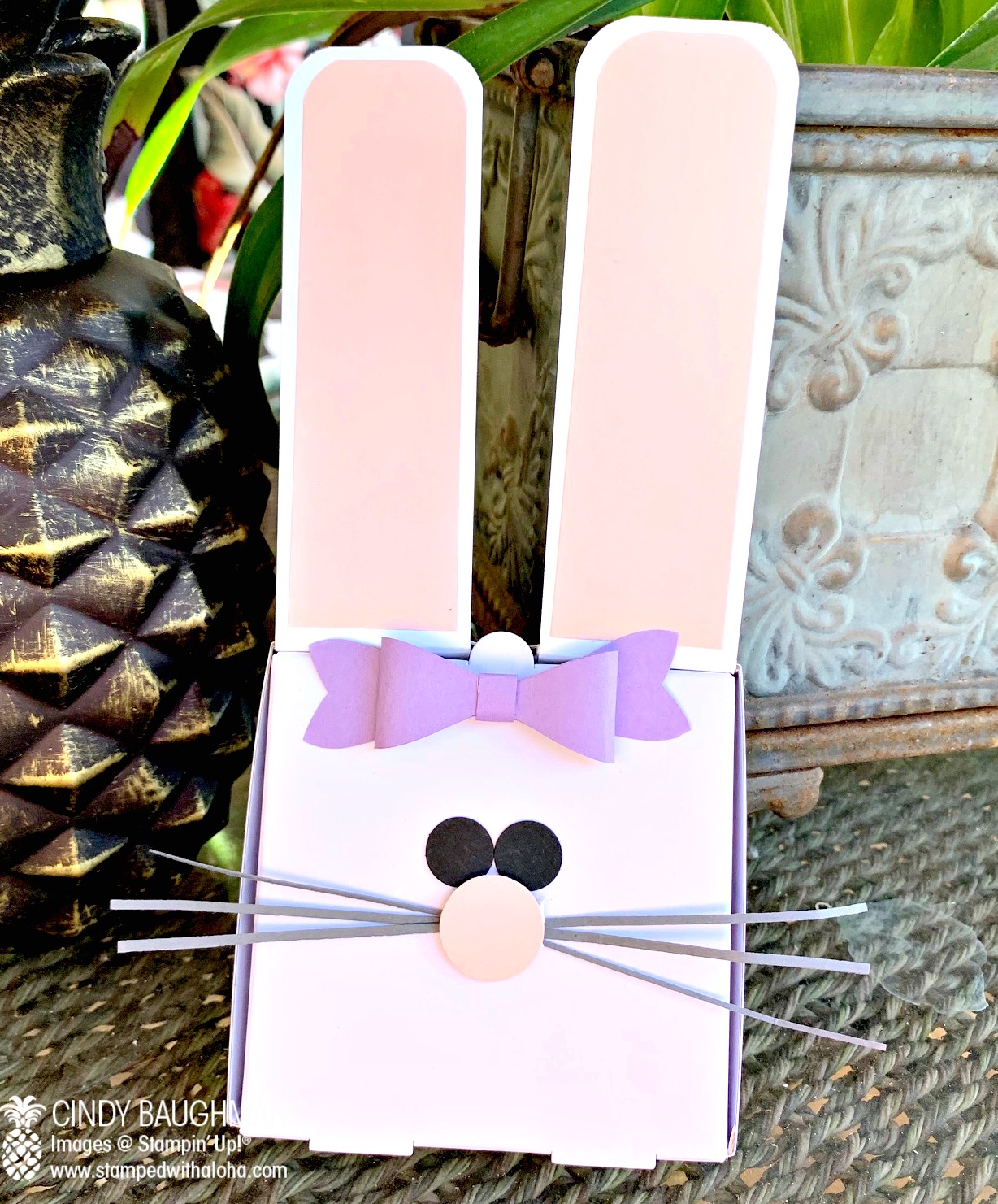 Bunny Pizza Box