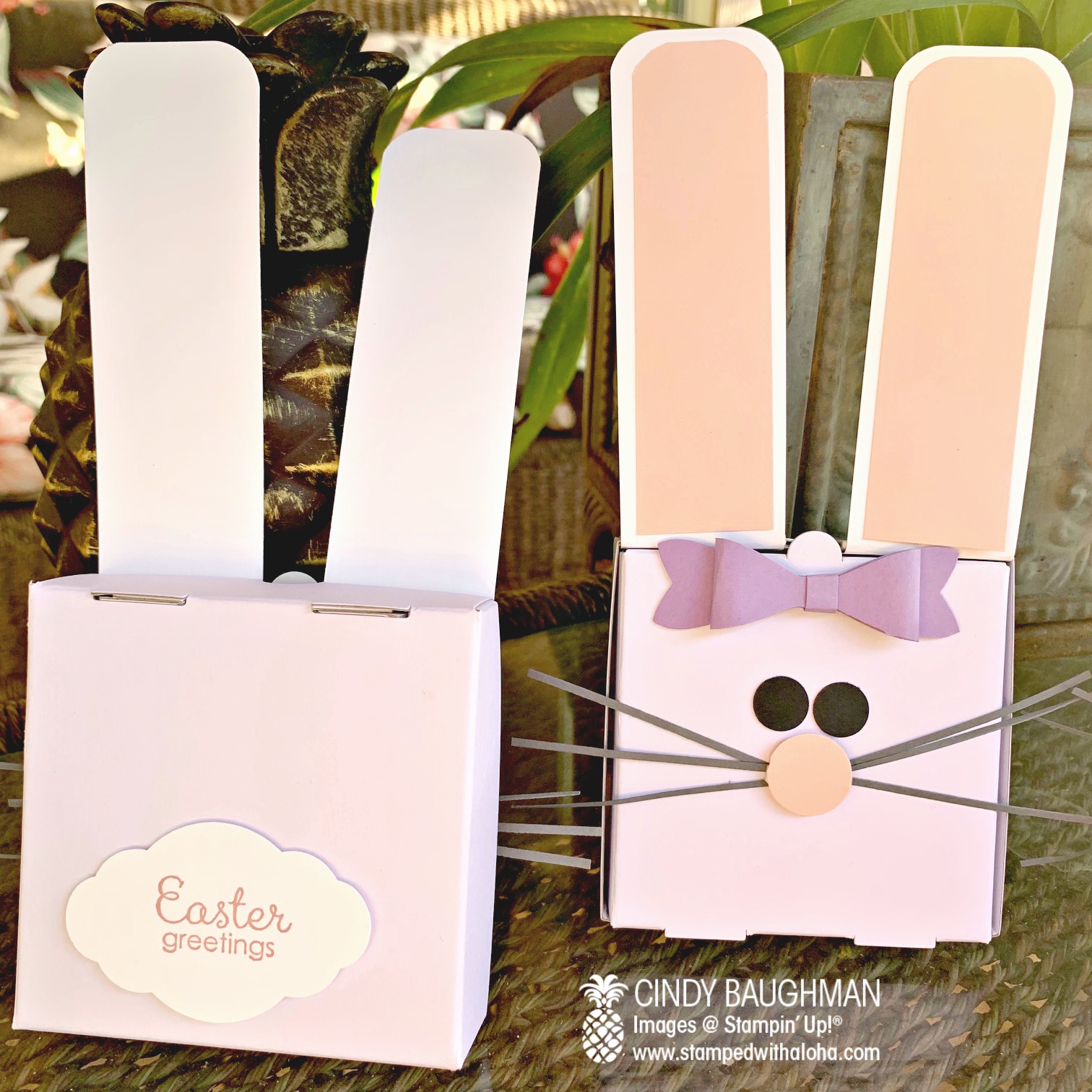 Mini Pizza Box Bunny
