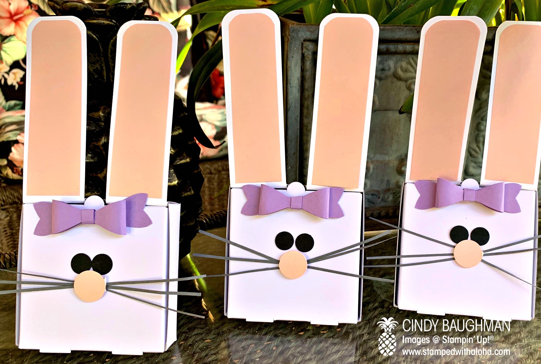Mini Pizza Box Bunnies