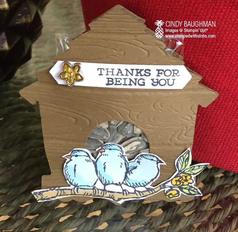 Bird House Favors