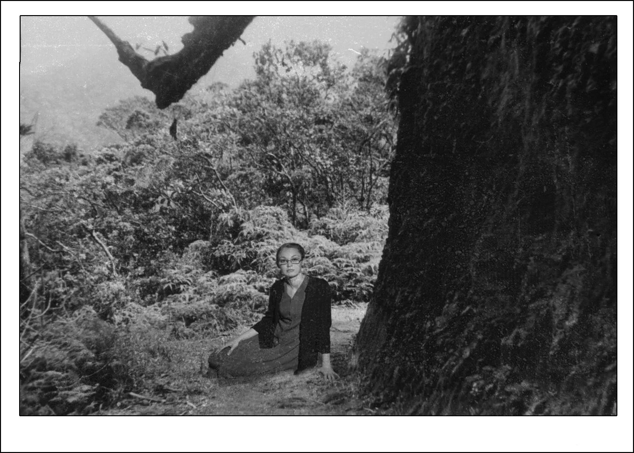 Rachel_Butler_Tree.jpg
