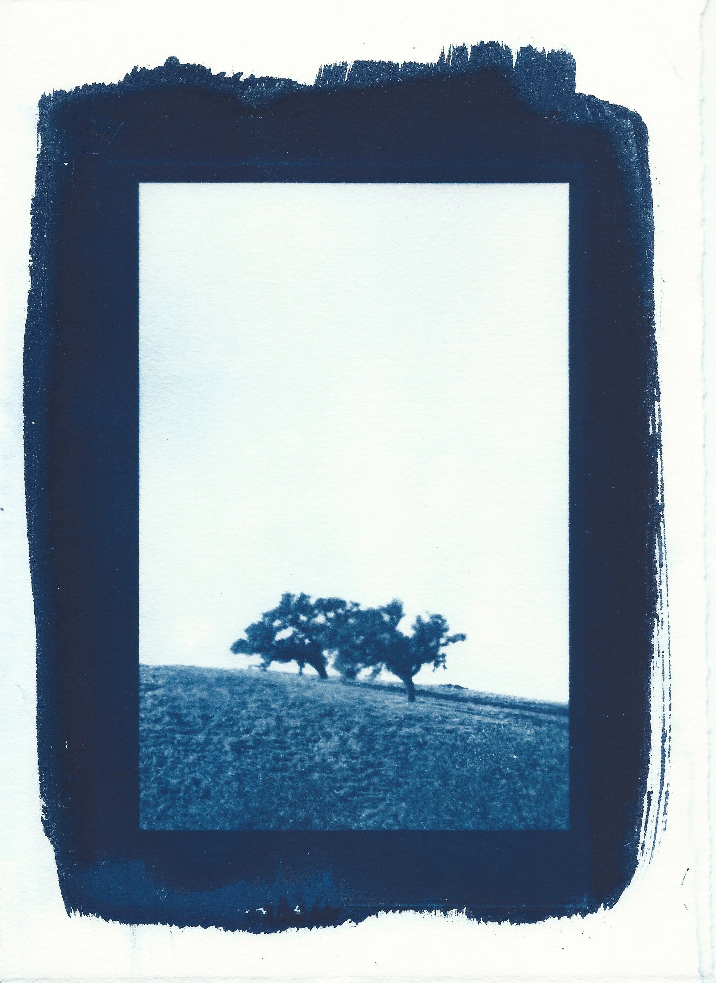SCAN0031.JPG