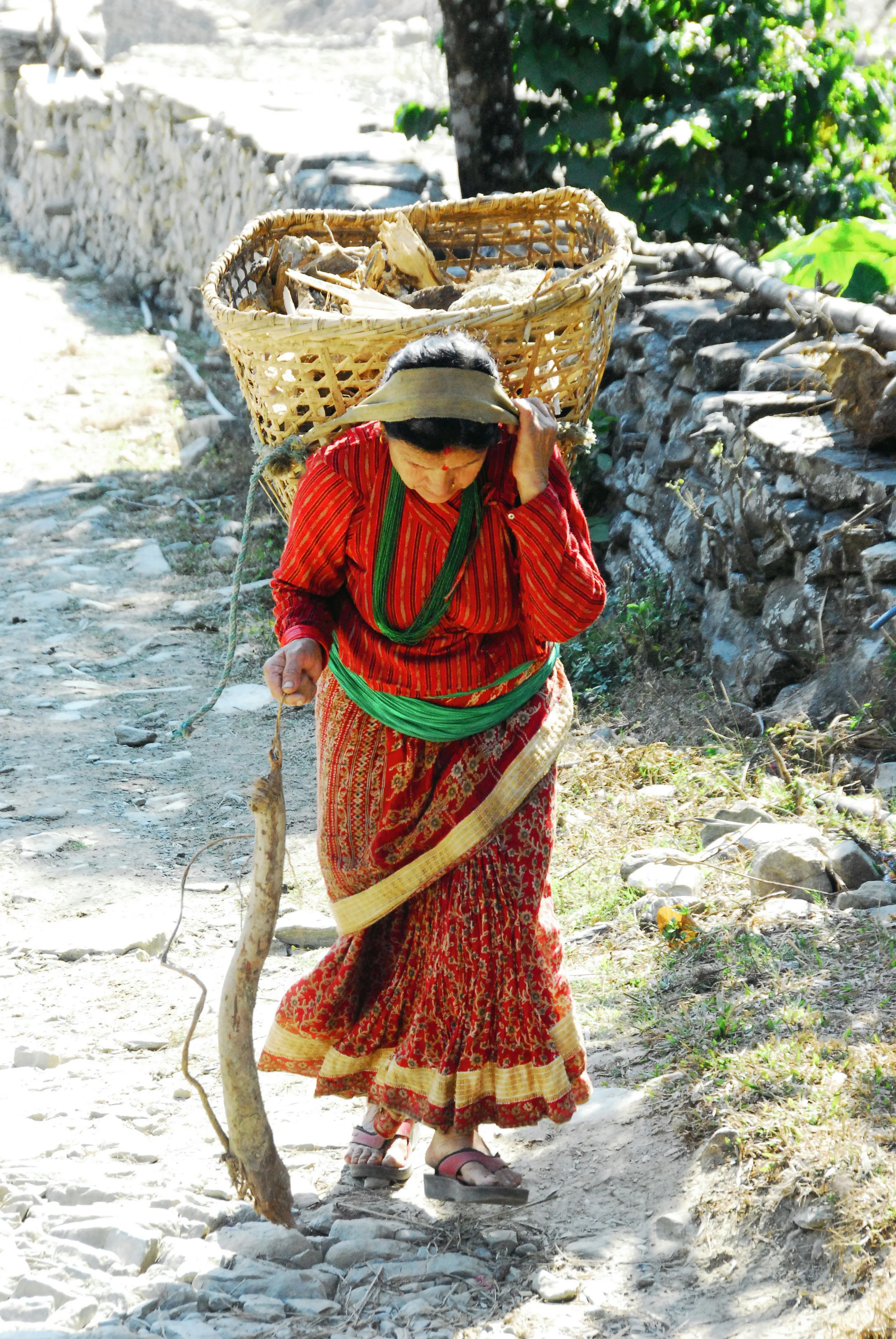 India-Nepal-Bhutan 5531.jpg