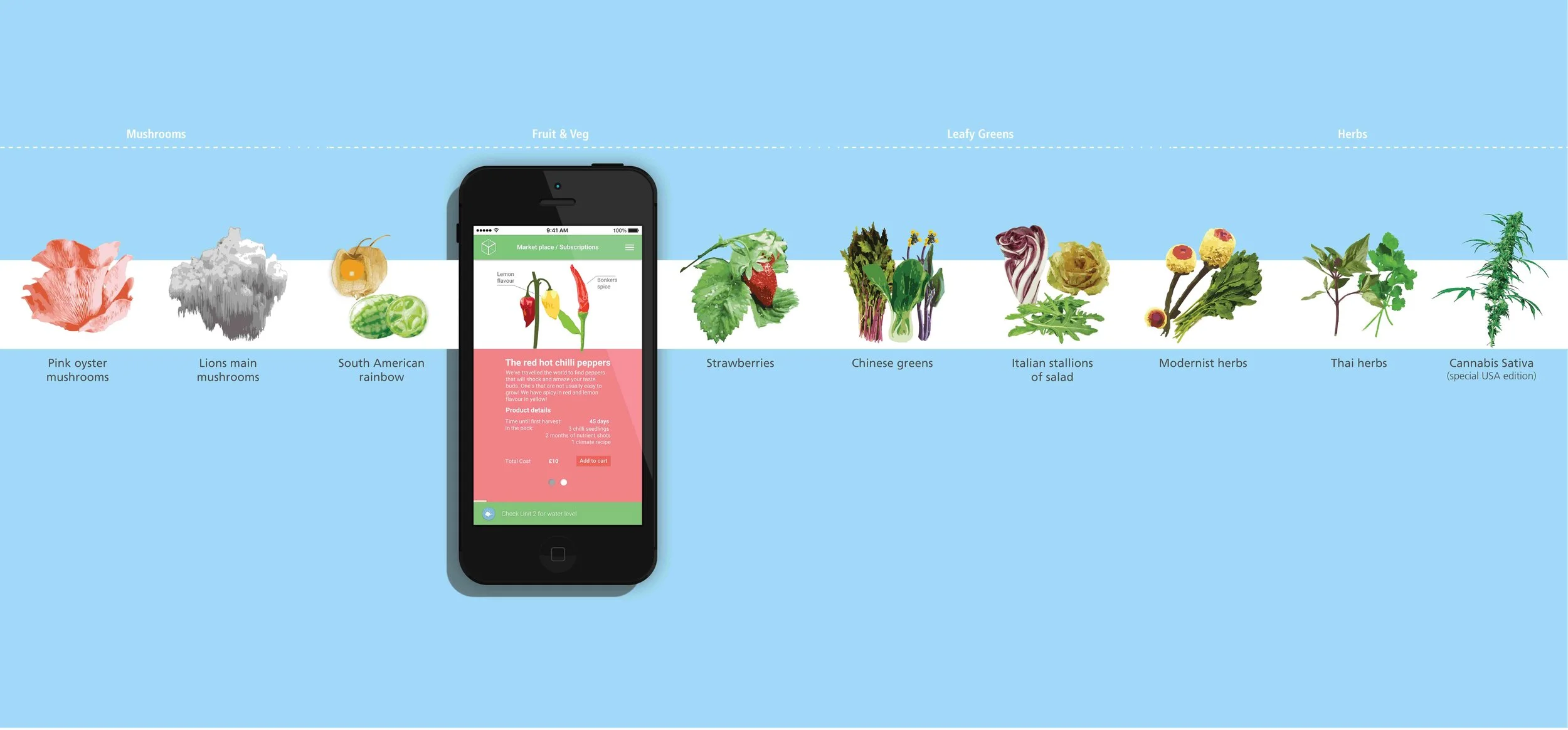 For first time growers a service can provide seedlings and nutrient plans to make growing semi automated.
