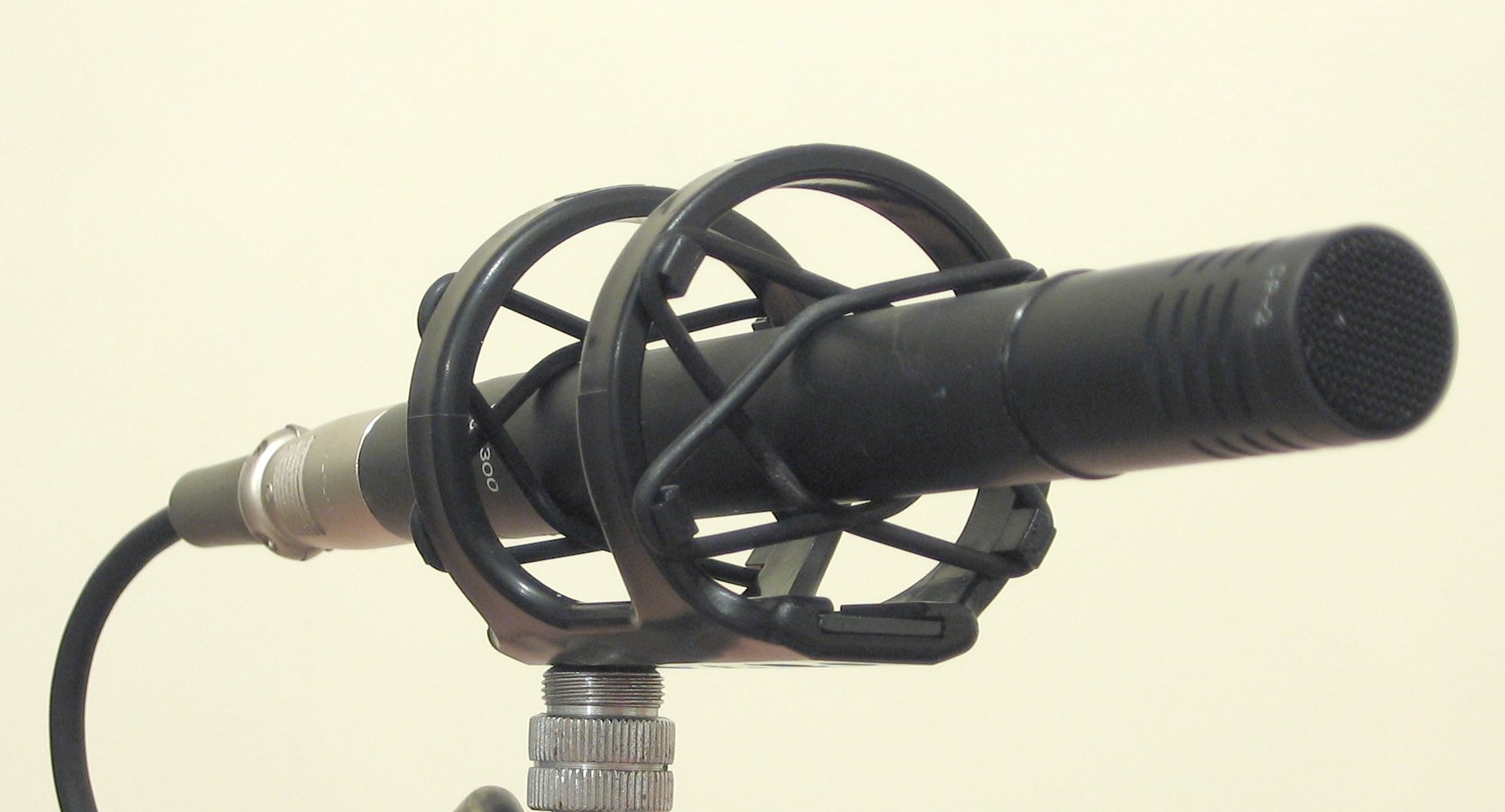 mounted-on-stand.jpeg