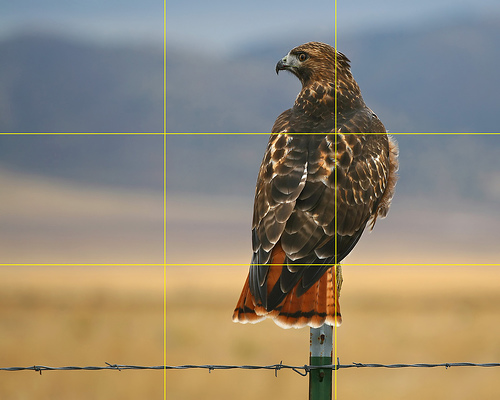 Rule of thirds
