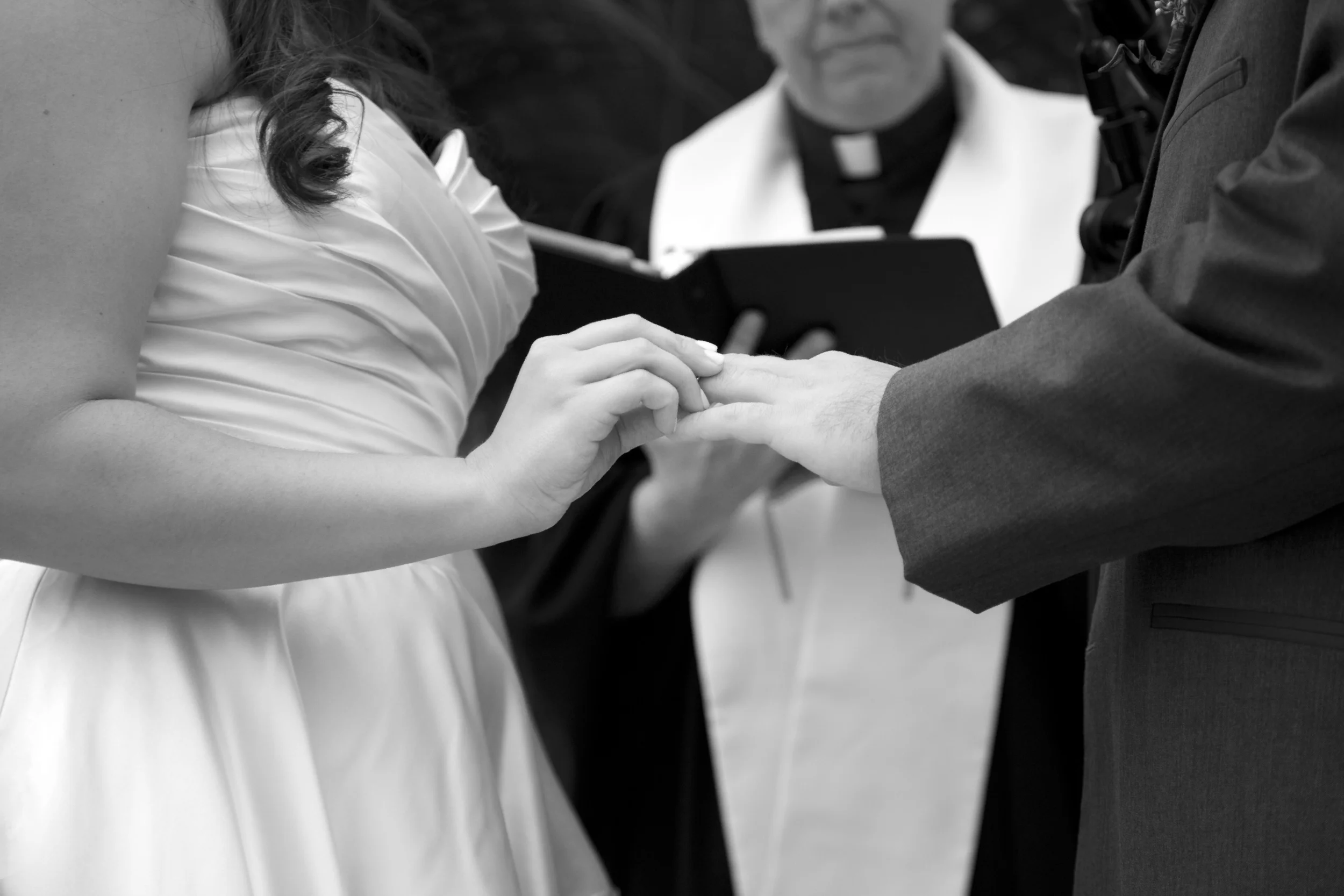 IMG_7325 copy 2.jpg