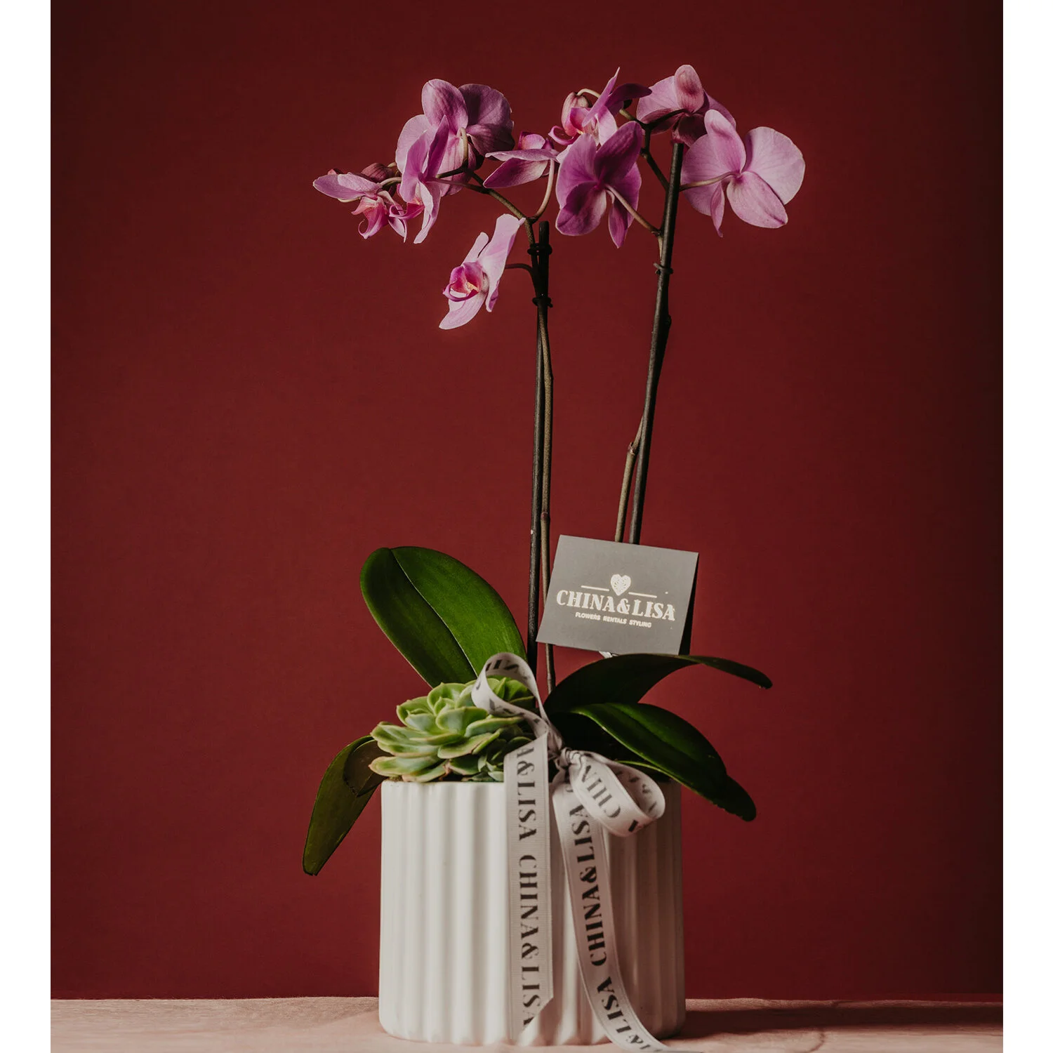 orchid 1.jpg